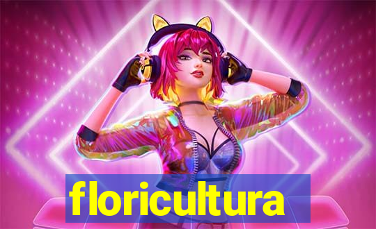 floricultura juazeiro bahia